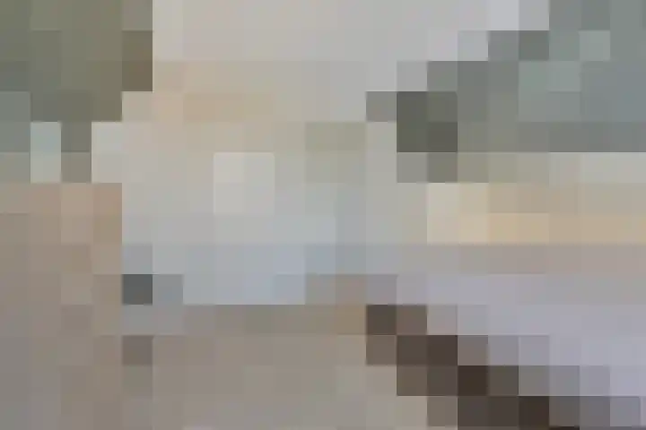 Monnickendammerrijweg 25 Ilpendam thumbnail 26