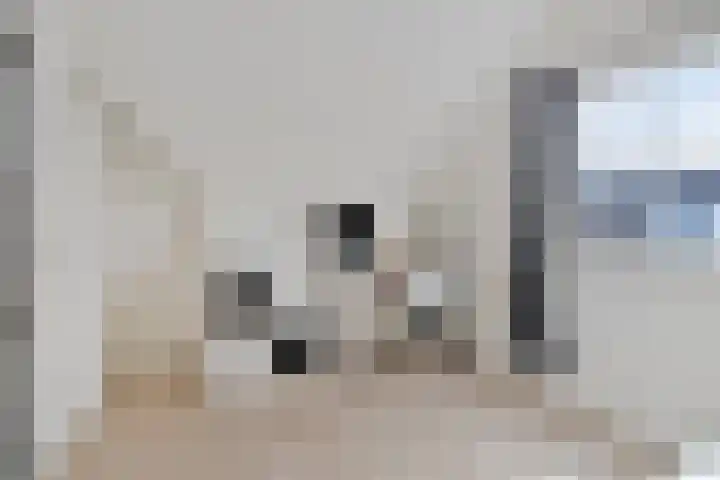 Monnickendammerrijweg 25 Ilpendam thumbnail 28