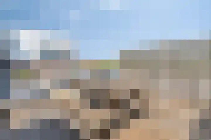 Monnickendammerrijweg 25 Ilpendam thumbnail 29