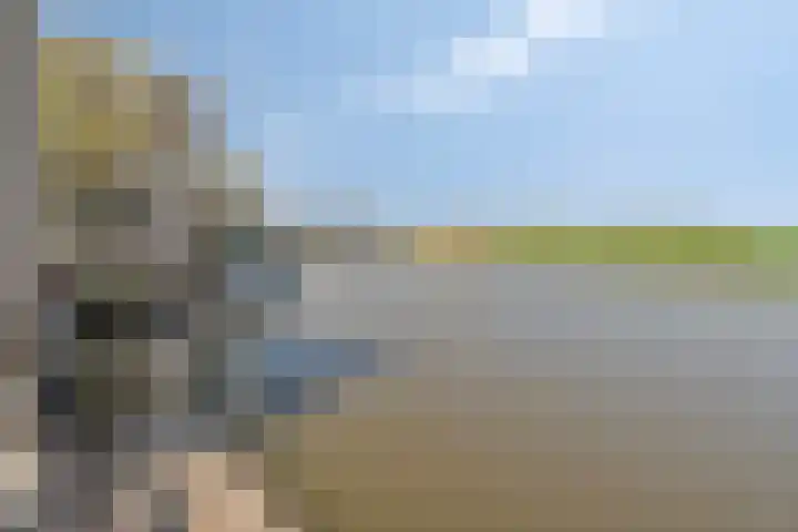 Monnickendammerrijweg 25 Ilpendam thumbnail 35