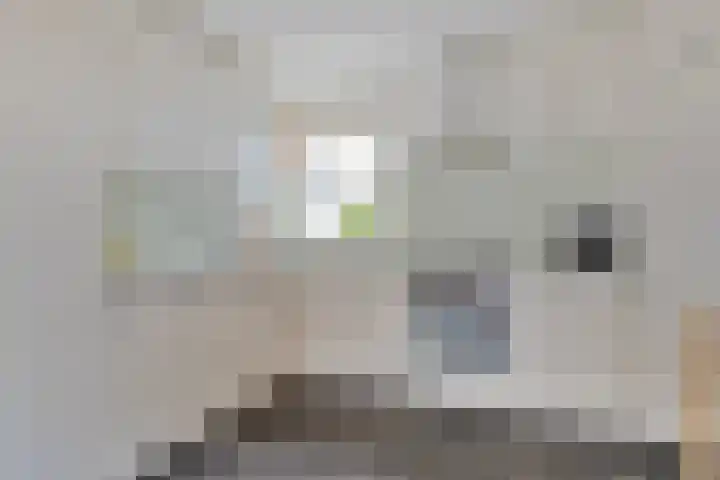 Monnickendammerrijweg 25 Ilpendam thumbnail 4