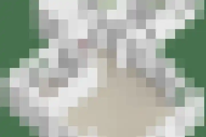 Monnickendammerrijweg 25 Ilpendam thumbnail 40