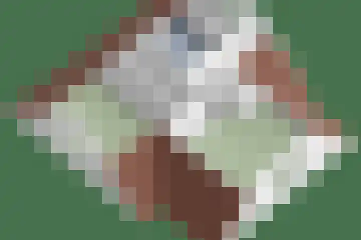 Monnickendammerrijweg 25 Ilpendam thumbnail 42