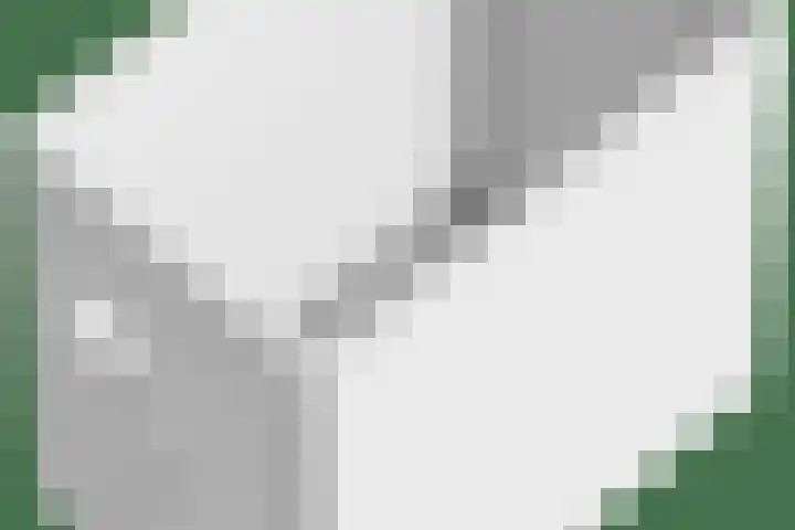 Monnickendammerrijweg 25 Ilpendam thumbnail 44