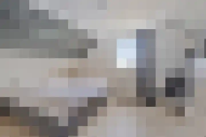 Monnickendammerrijweg 25 Ilpendam thumbnail 6