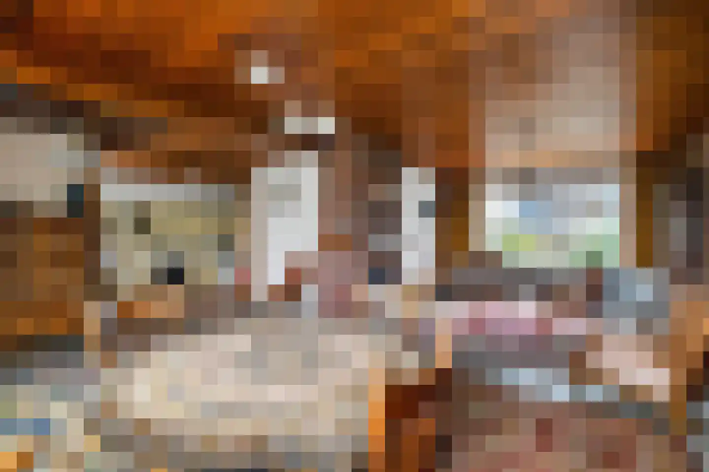 Monnickendammerrijweg 37 Ilpendam thumbnail 11