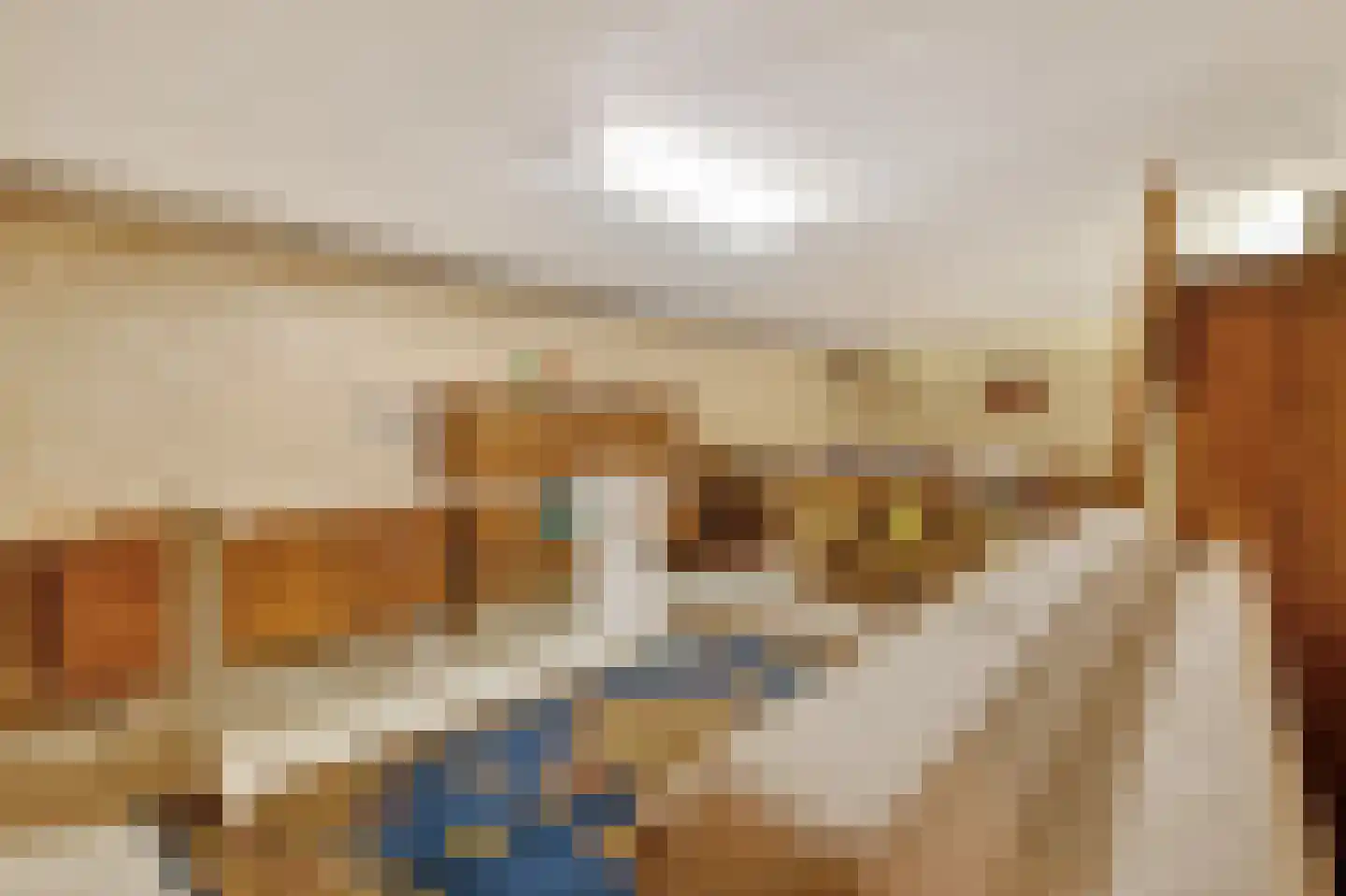 Monnickendammerrijweg 37 Ilpendam thumbnail 13
