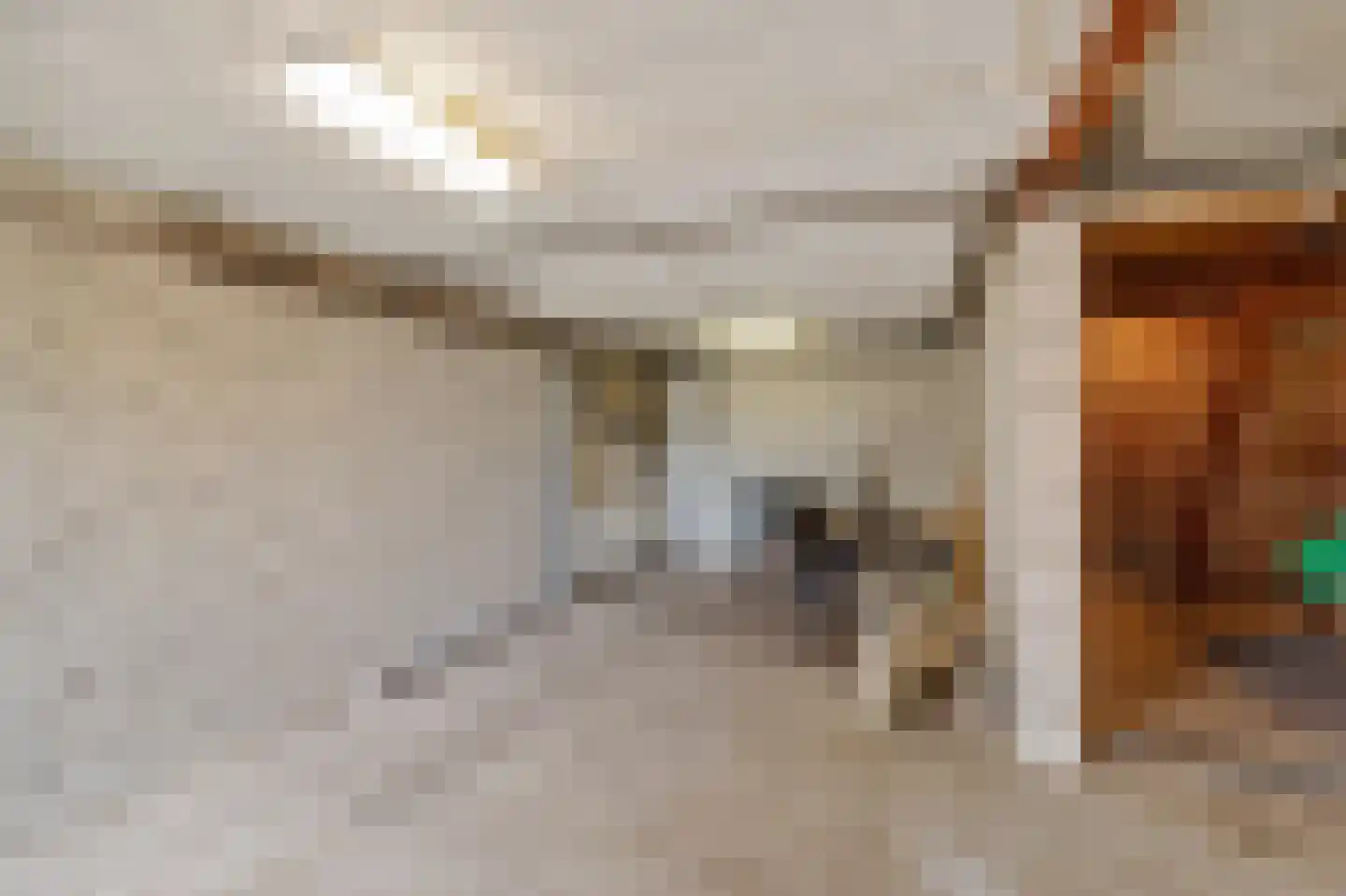 Monnickendammerrijweg 37 Ilpendam thumbnail 15