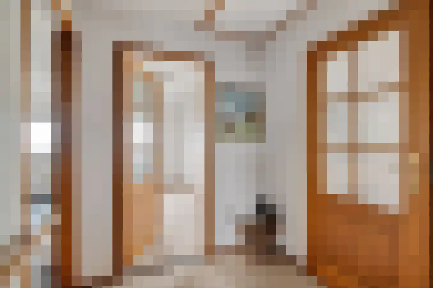 Monnickendammerrijweg 37 Ilpendam thumbnail 19