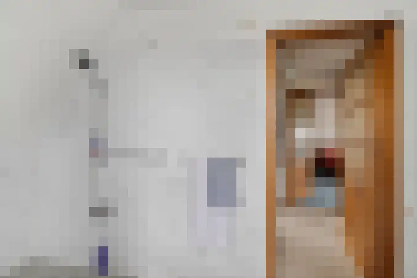 Monnickendammerrijweg 37 Ilpendam thumbnail 20