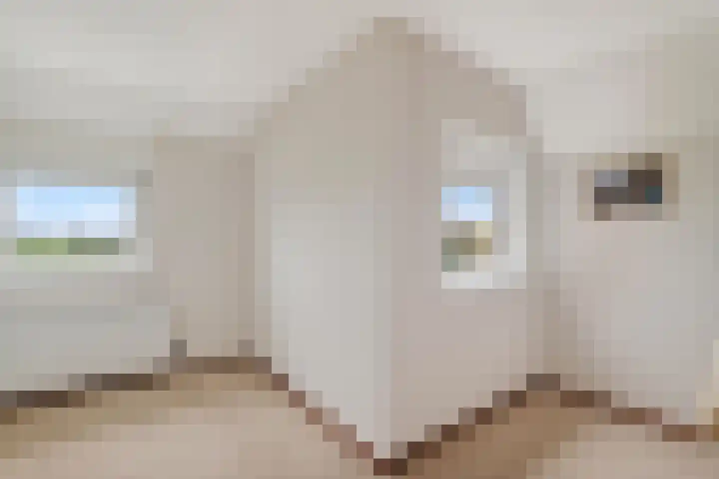 Monnickendammerrijweg 37 Ilpendam thumbnail 23
