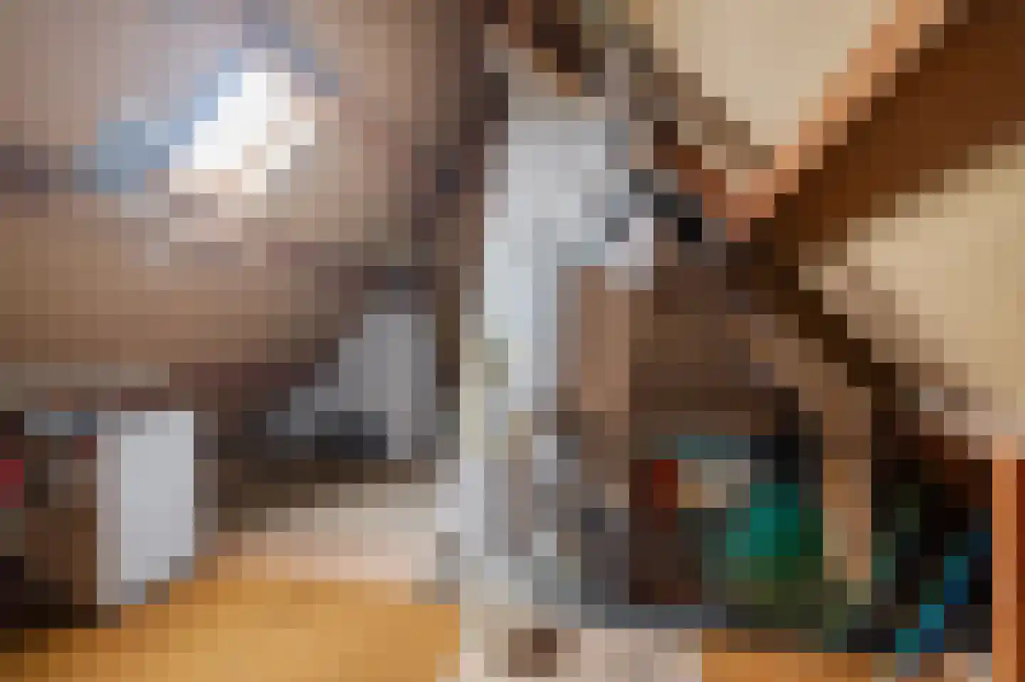 Monnickendammerrijweg 37 Ilpendam thumbnail 26