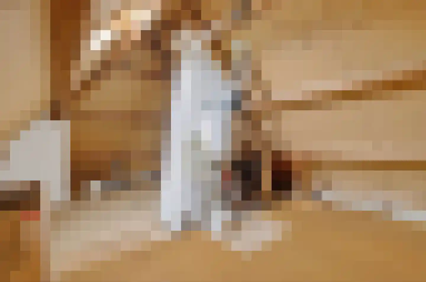 Monnickendammerrijweg 37 Ilpendam thumbnail 27