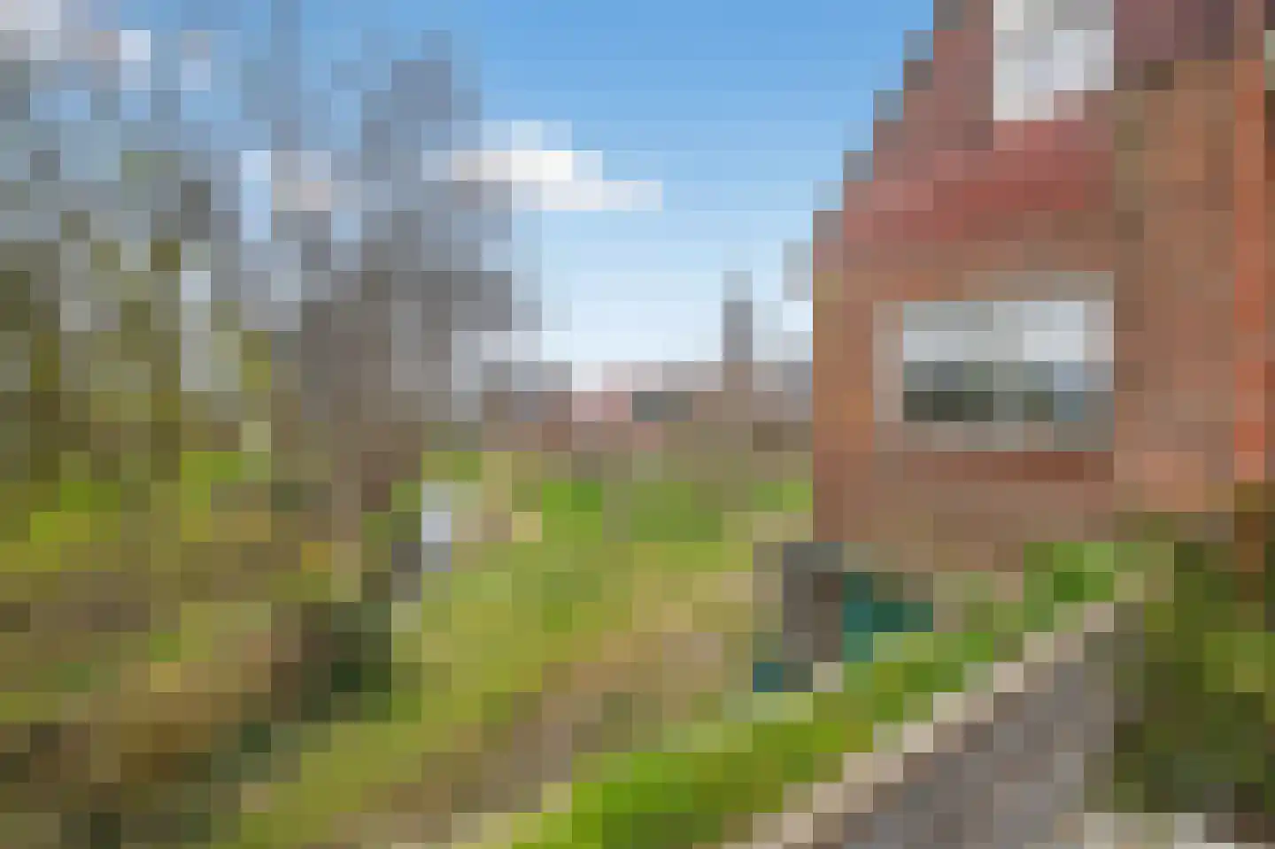 Monnickendammerrijweg 37 Ilpendam thumbnail 30