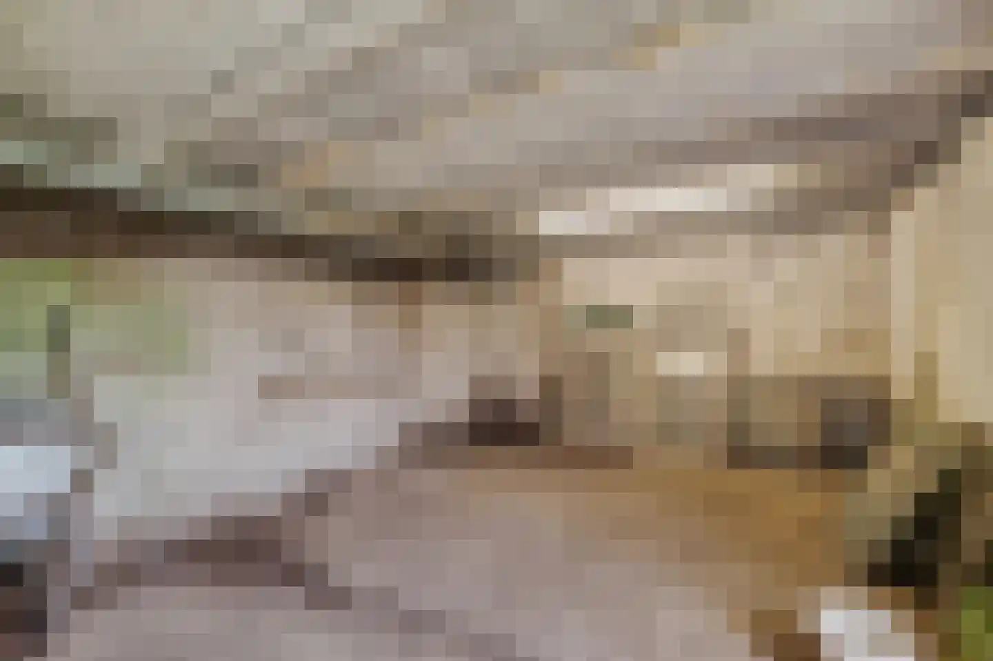Monnickendammerrijweg 37 Ilpendam thumbnail 33