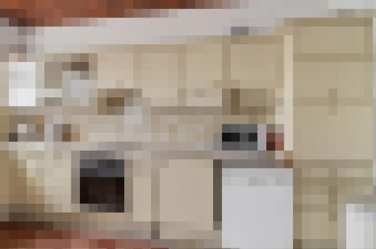 Monnickendammerrijweg 37 Ilpendam thumbnail 7
