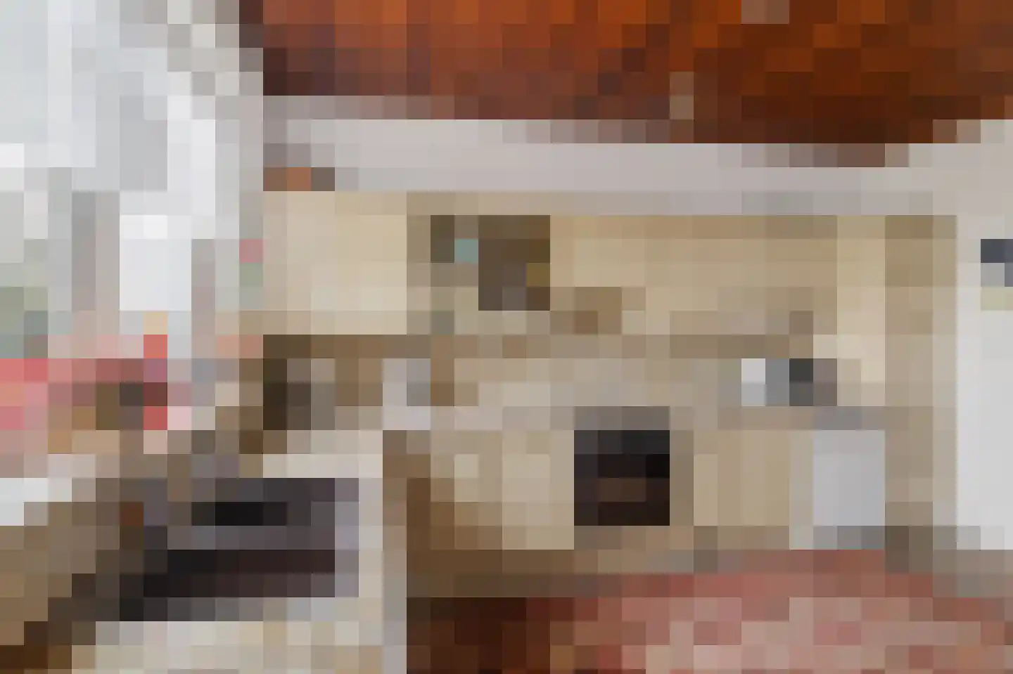 Monnickendammerrijweg 37 Ilpendam thumbnail 8