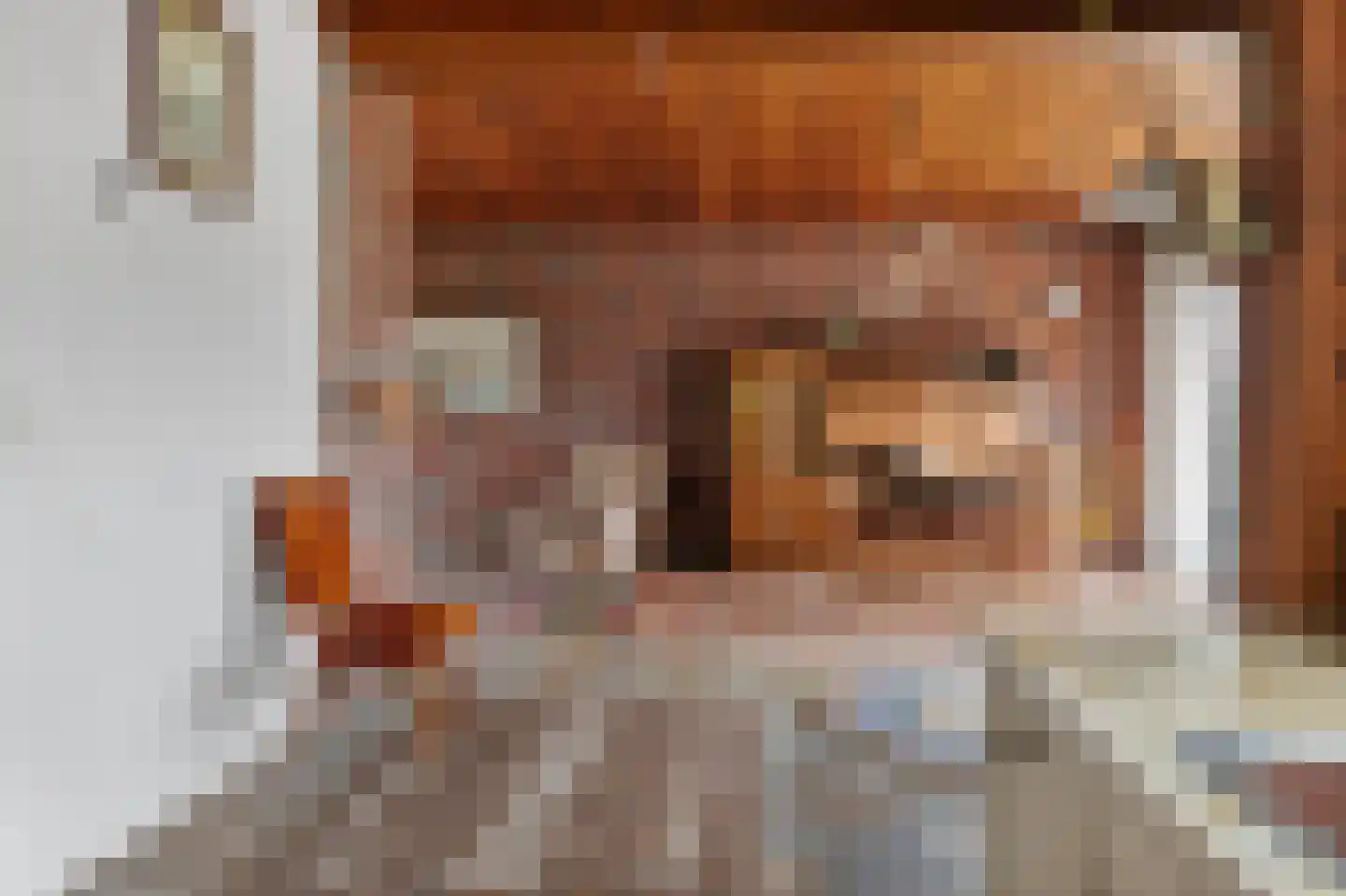 Monnickendammerrijweg 37 Ilpendam thumbnail 9