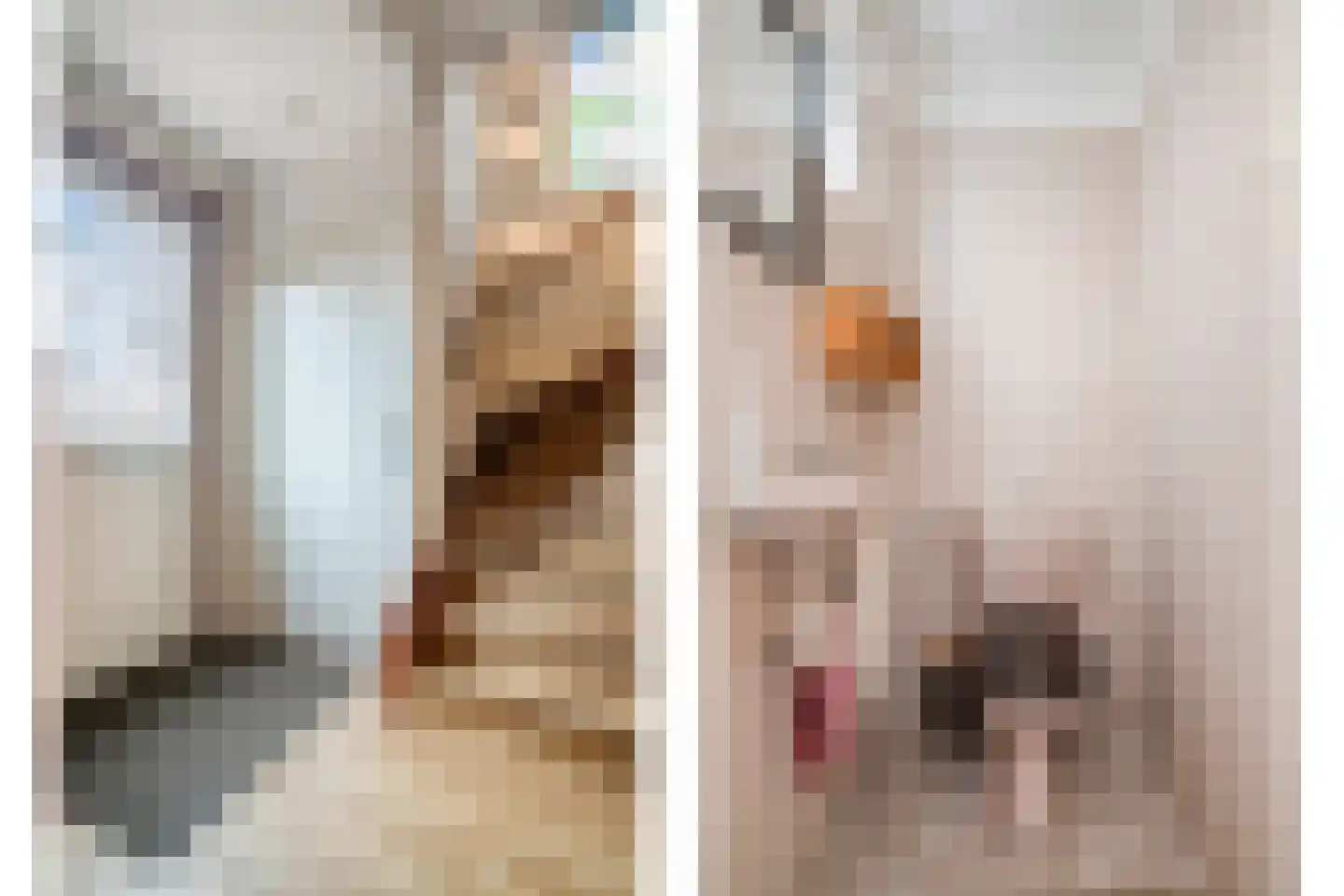 Monnickendammerrijweg 50 D Ilpendam thumbnail 12