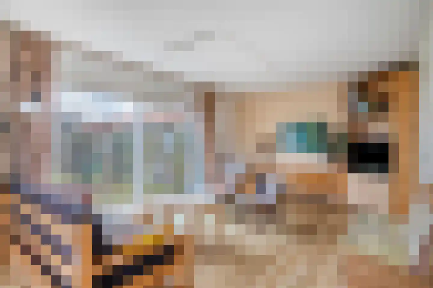 Monnickendammerrijweg 50 D Ilpendam thumbnail 17