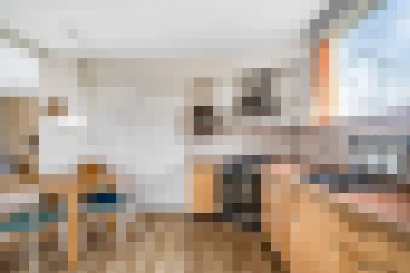 Monnickendammerrijweg 50 D Ilpendam thumbnail 21