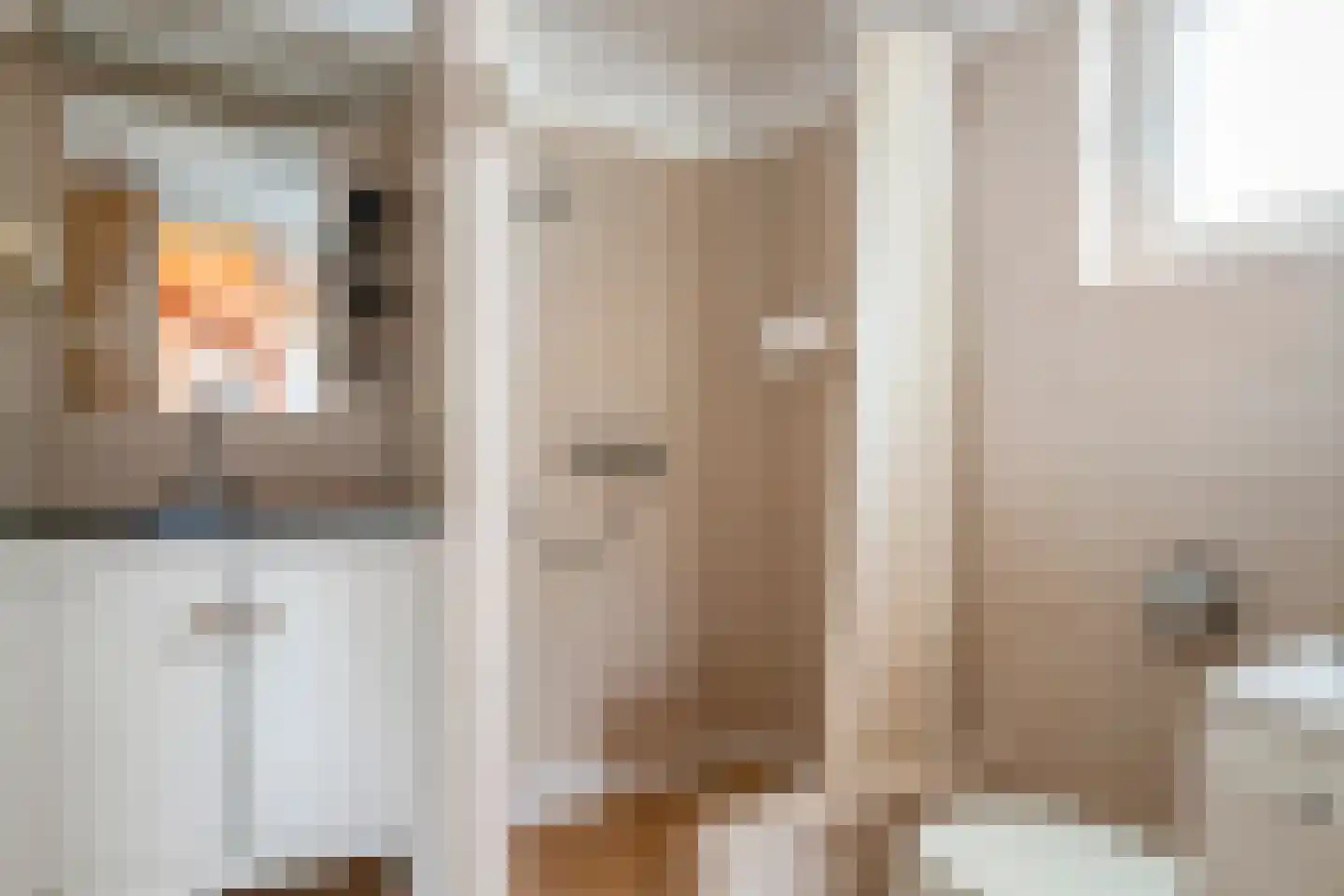 Monnickendammerrijweg 50 D Ilpendam thumbnail 31