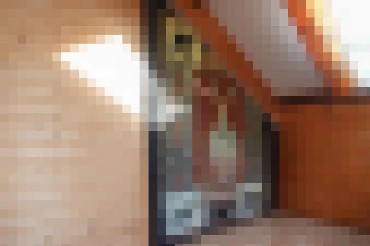 Monnickendammerrijweg 50 D Ilpendam thumbnail 35