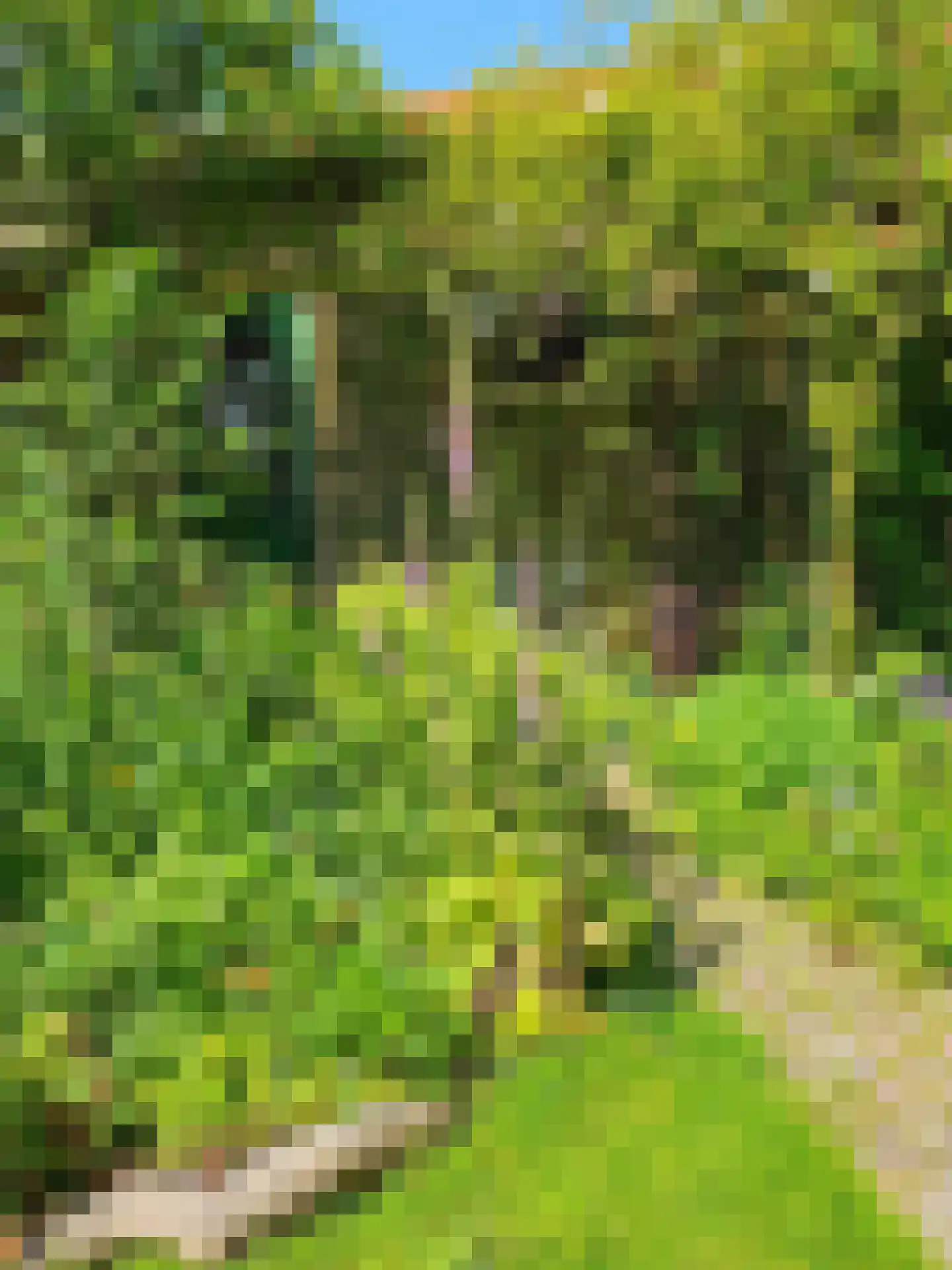 Monnickendammerrijweg 50 D Ilpendam thumbnail 56