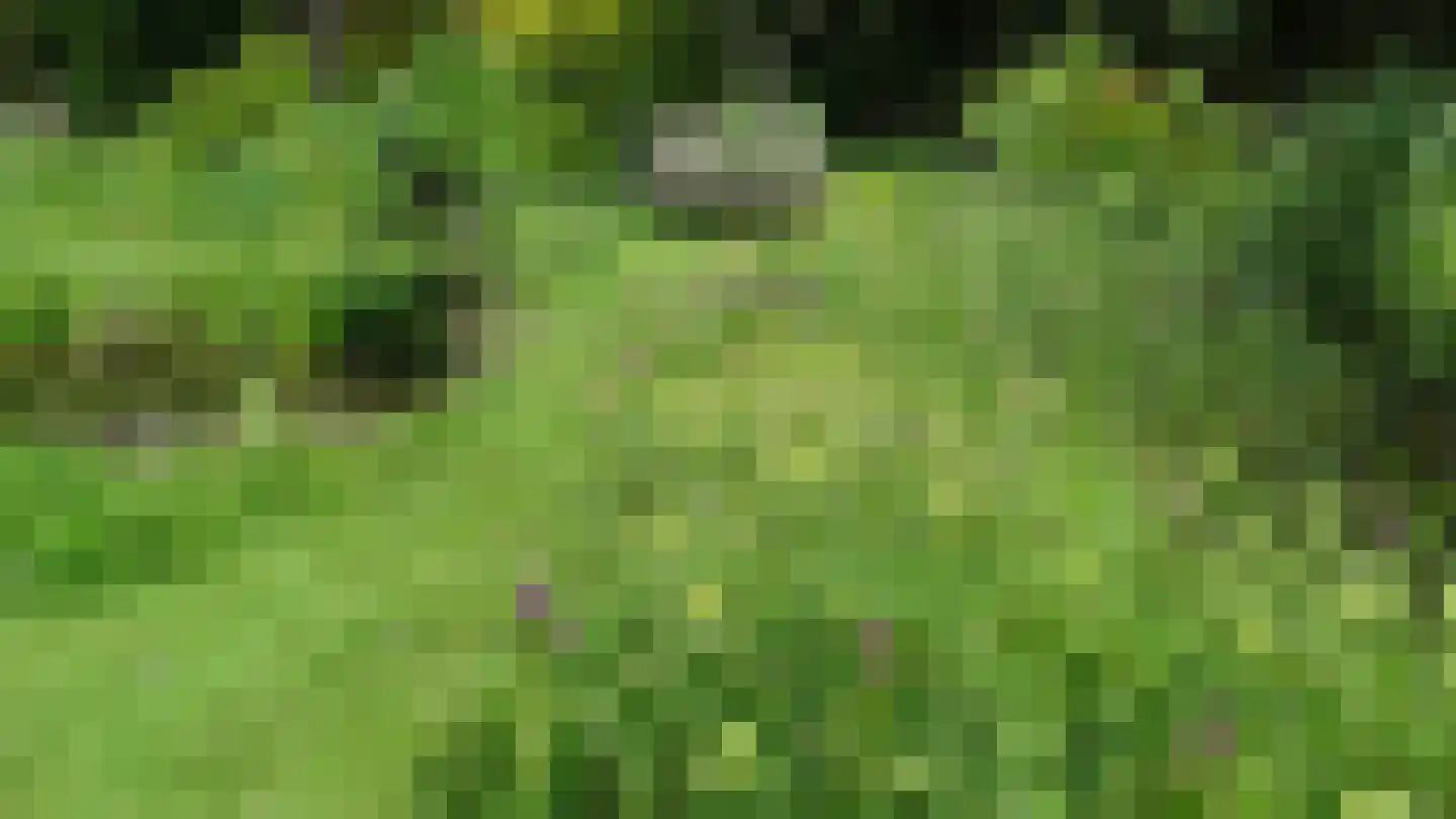Monnickendammerrijweg 50 D Ilpendam thumbnail 57