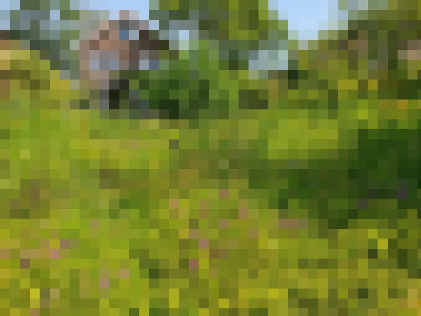 Monnickendammerrijweg 50 D Ilpendam thumbnail 59