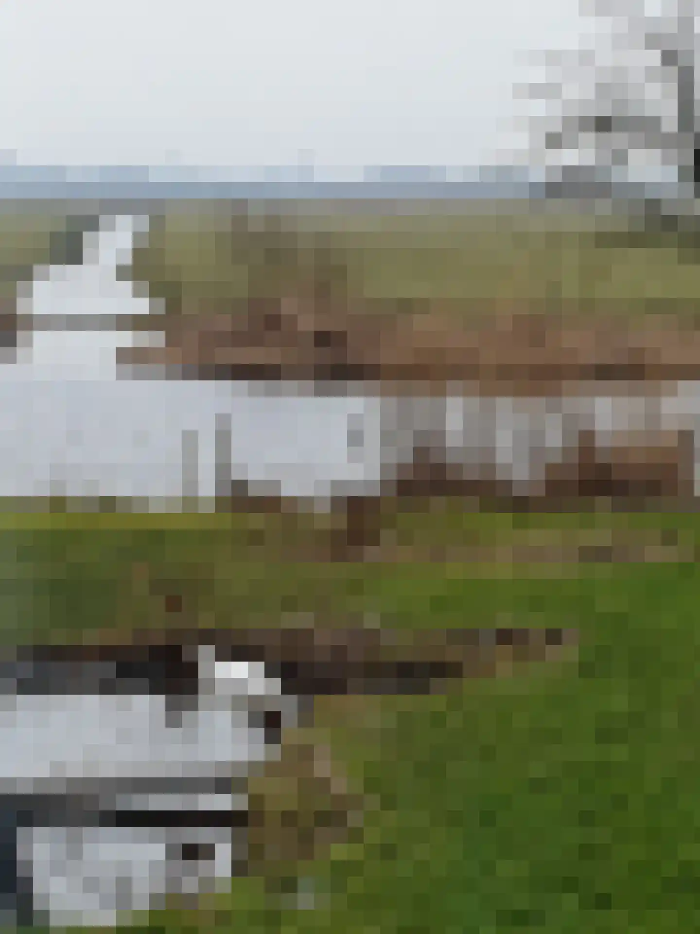 Monnickendammerrijweg 50 D Ilpendam thumbnail 60