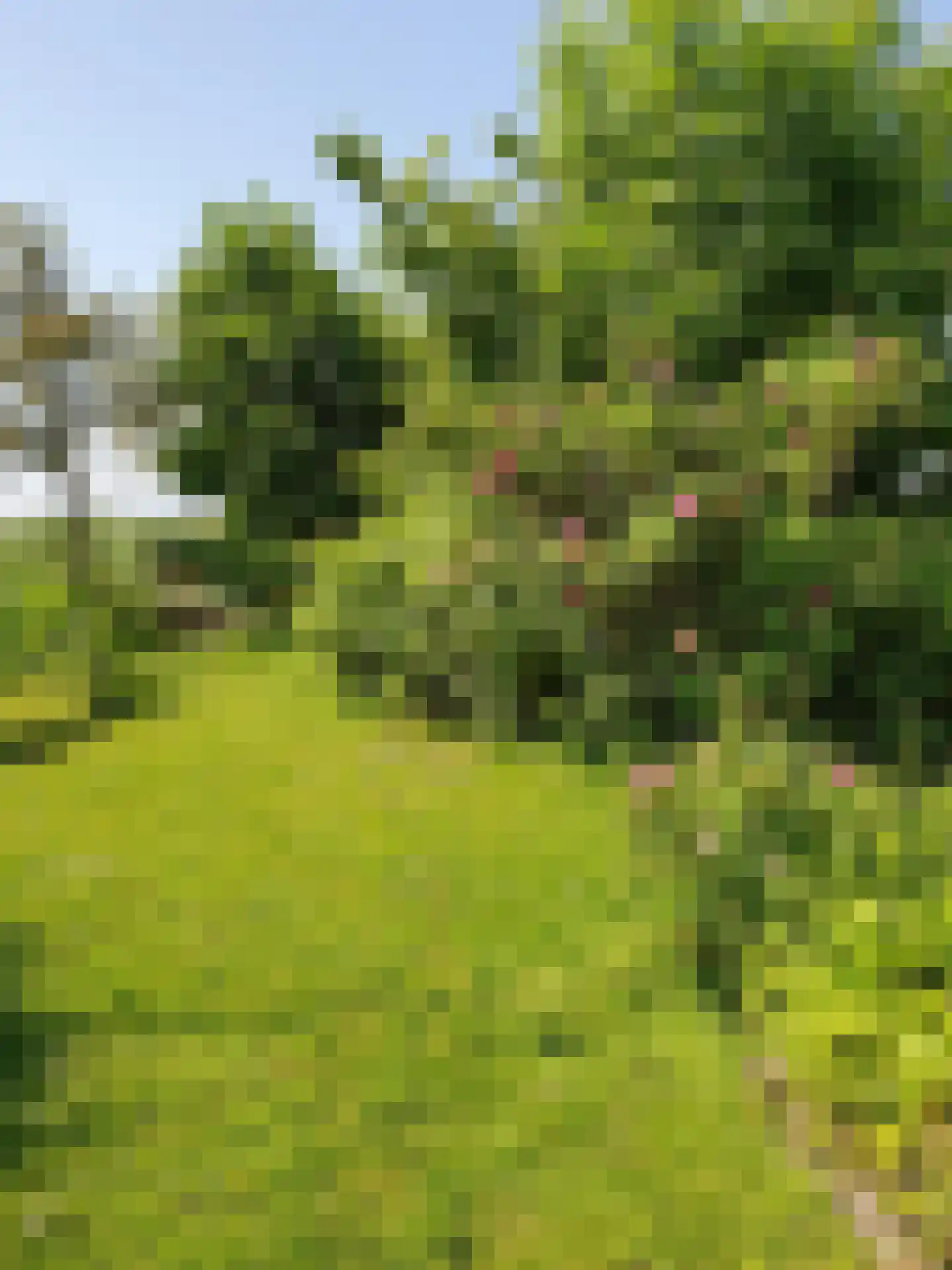 Monnickendammerrijweg 50 D Ilpendam thumbnail 61