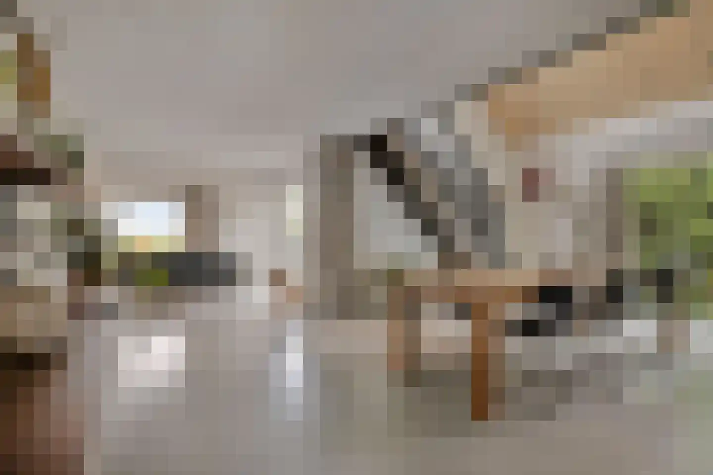Monnickendammerrijweg 50 E Ilpendam thumbnail 11
