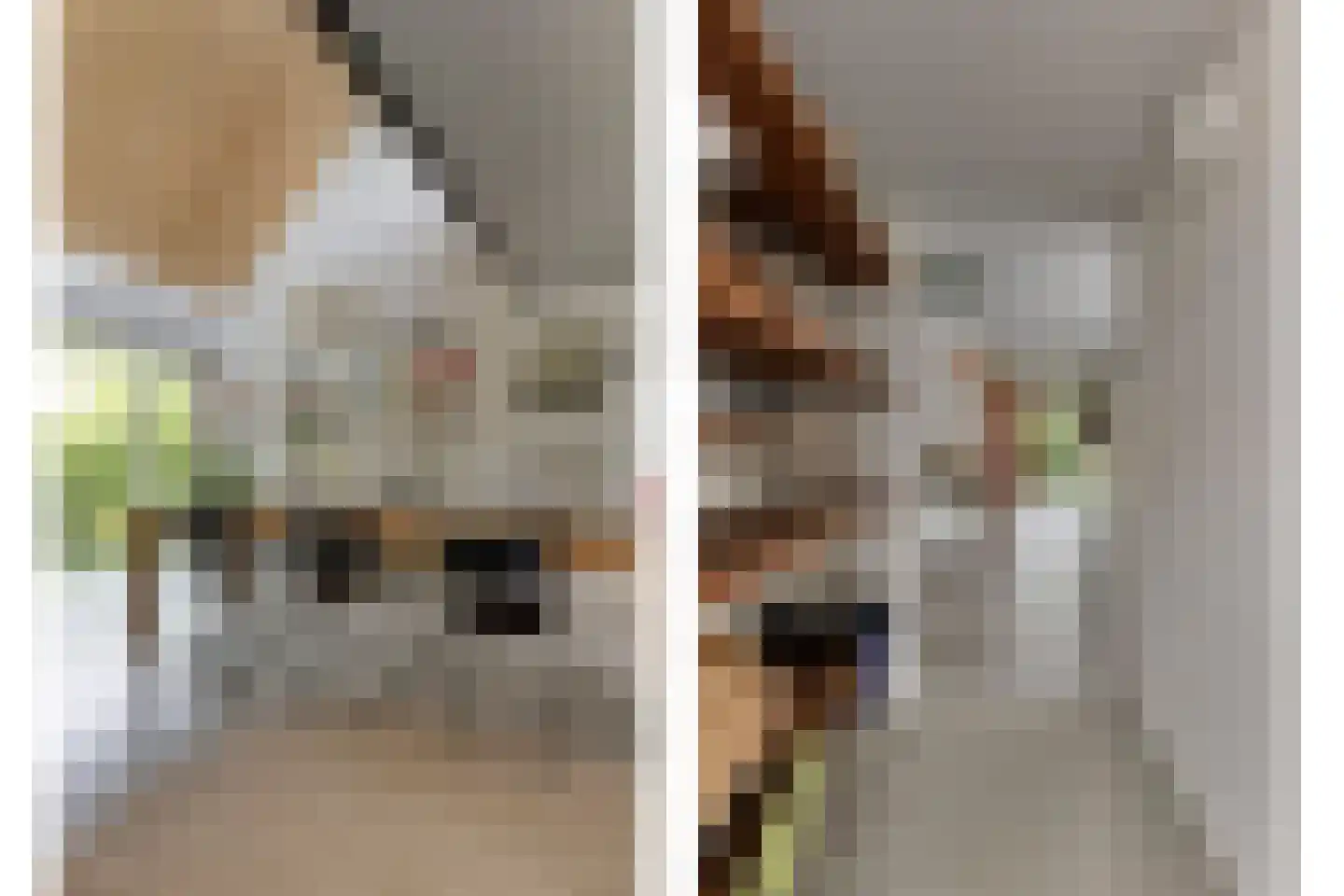 Monnickendammerrijweg 50 E Ilpendam thumbnail 12