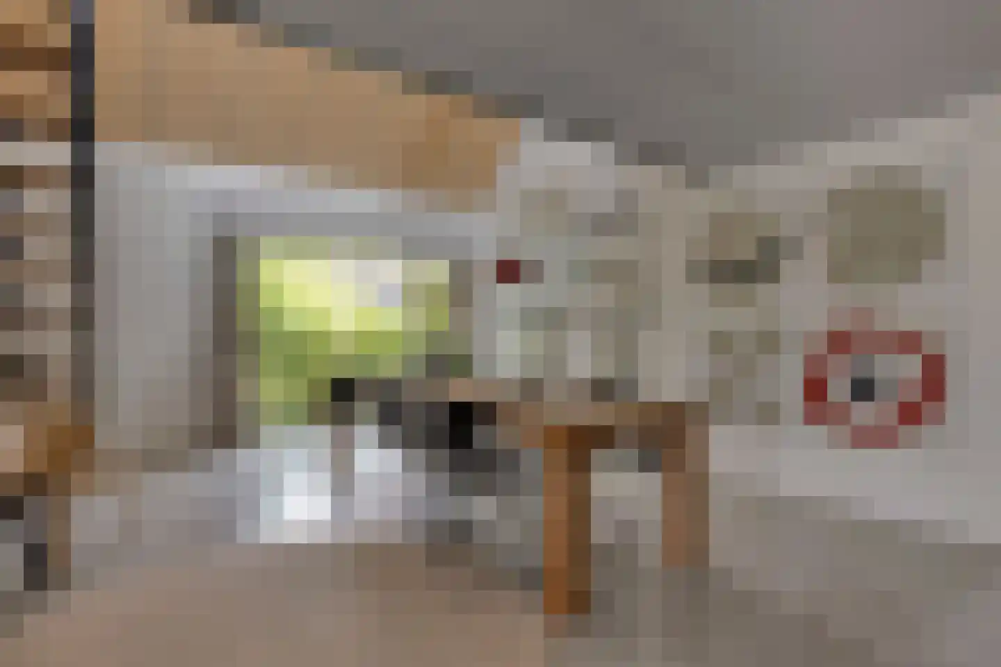 Monnickendammerrijweg 50 E Ilpendam thumbnail 13