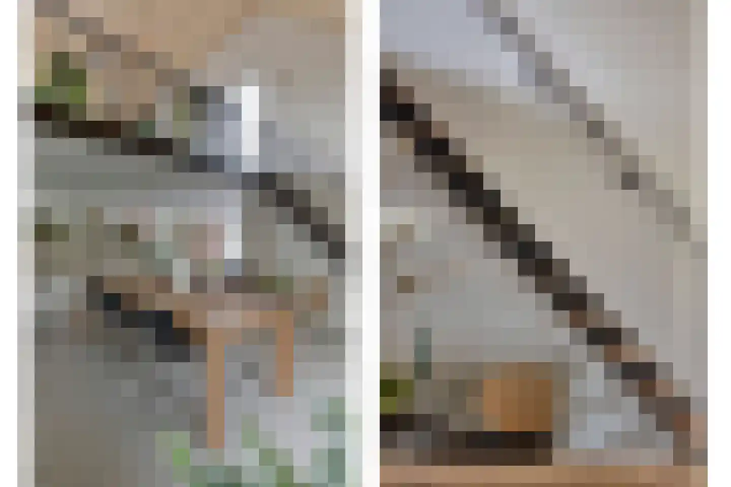 Monnickendammerrijweg 50 E Ilpendam thumbnail 15