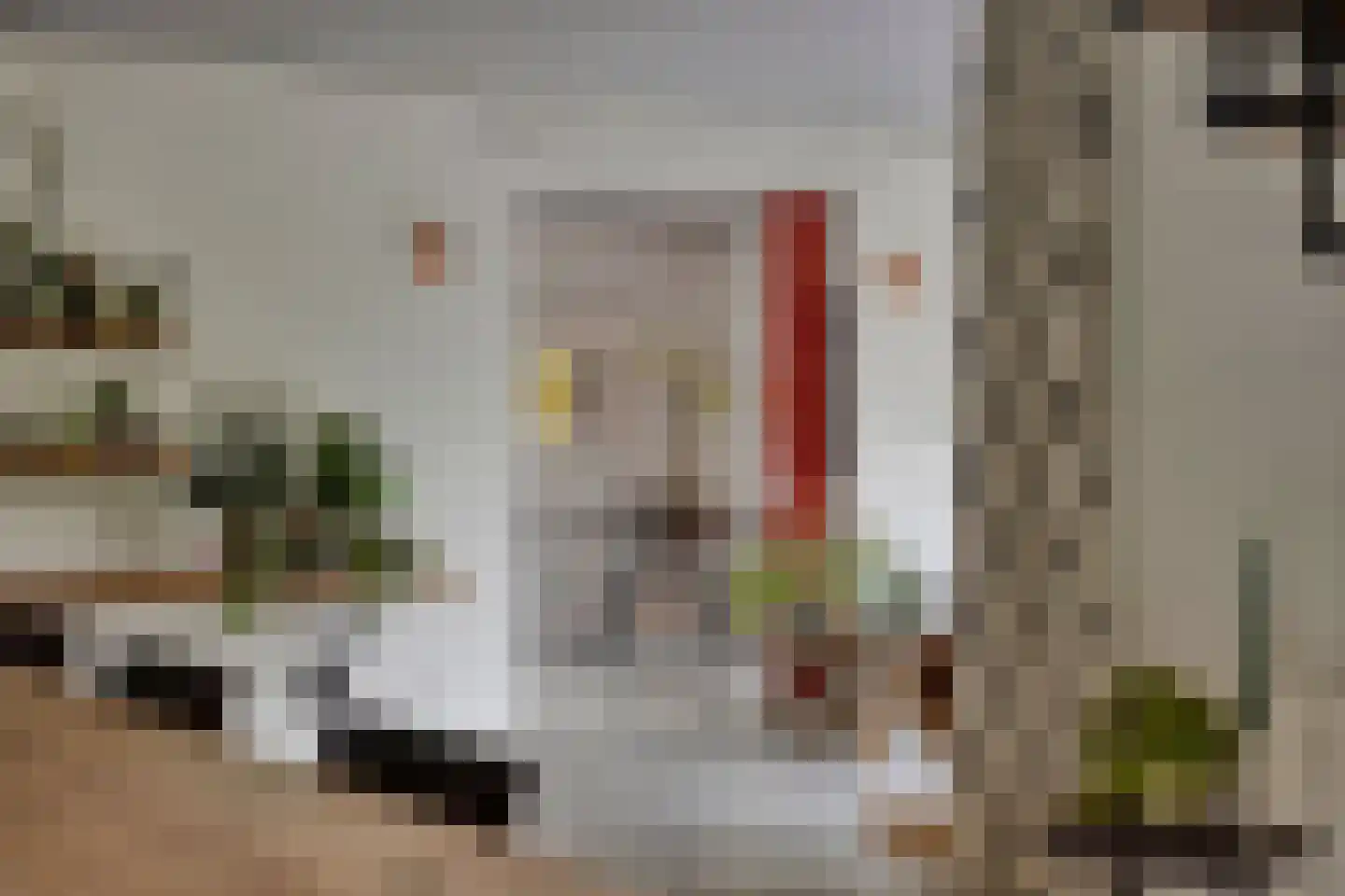 Monnickendammerrijweg 50 E Ilpendam thumbnail 16