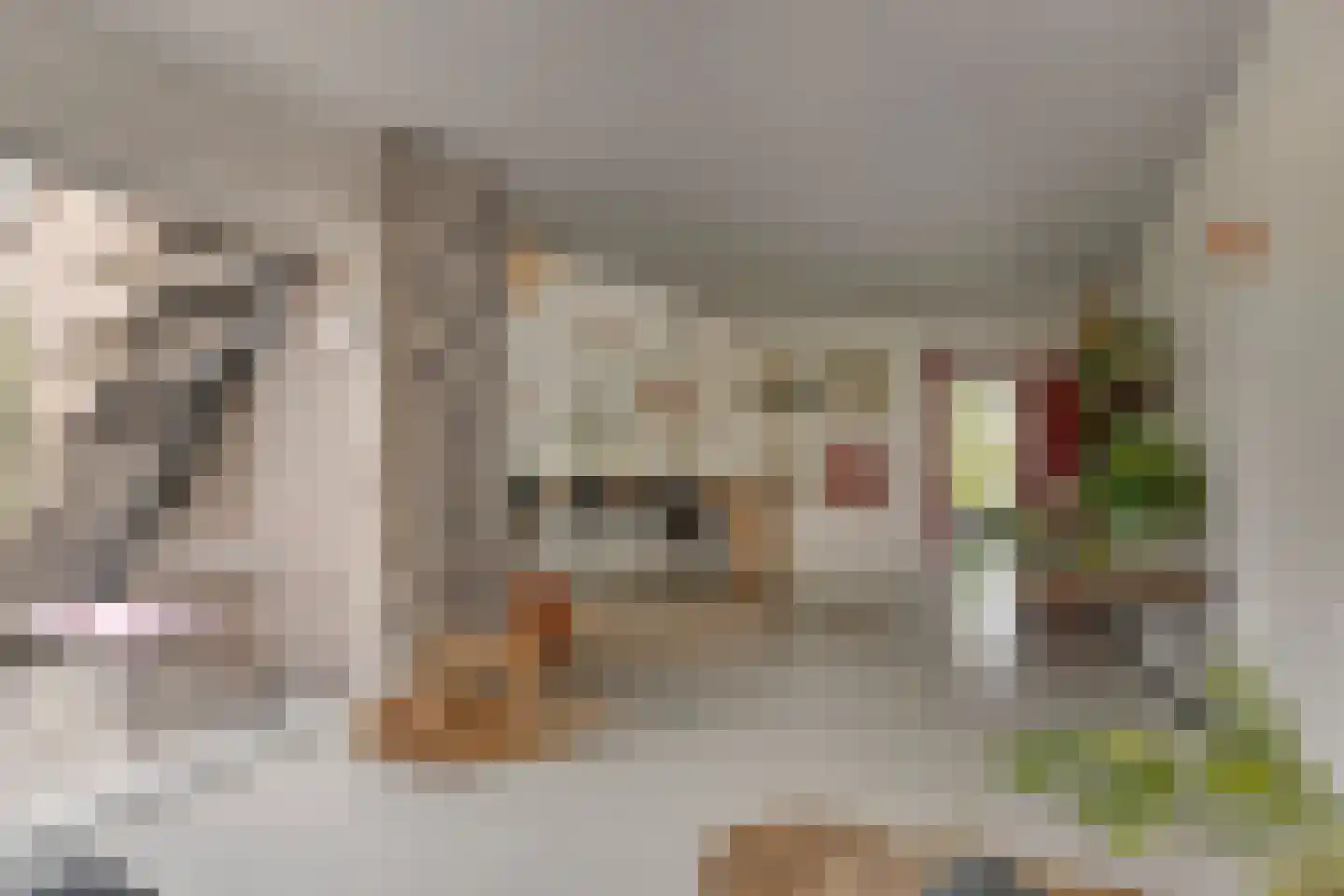 Monnickendammerrijweg 50 E Ilpendam thumbnail 19