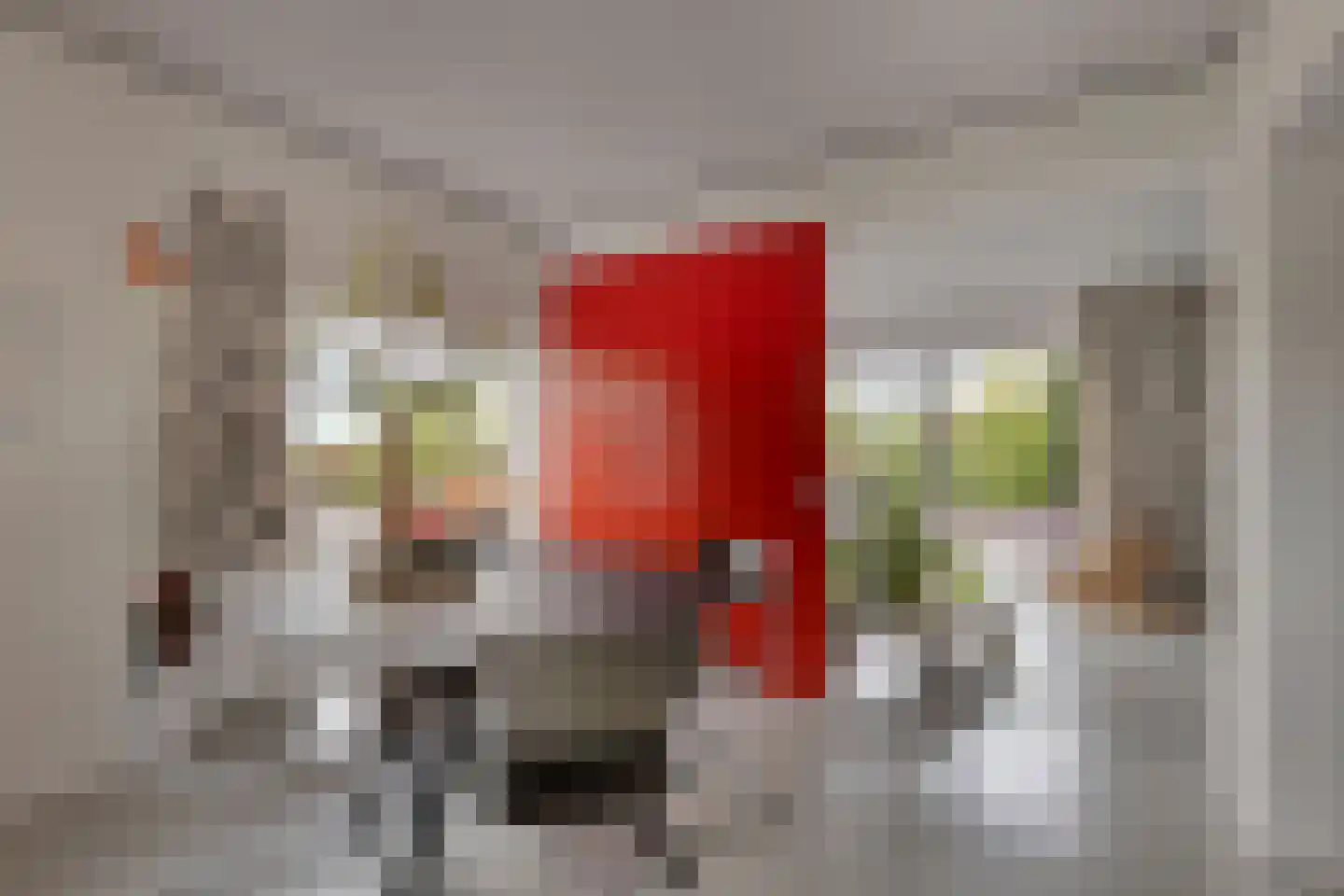 Monnickendammerrijweg 50 E Ilpendam thumbnail 23