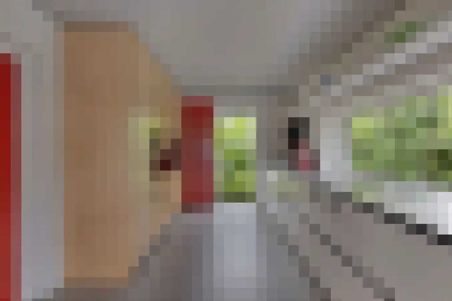 Monnickendammerrijweg 50 E Ilpendam thumbnail 26