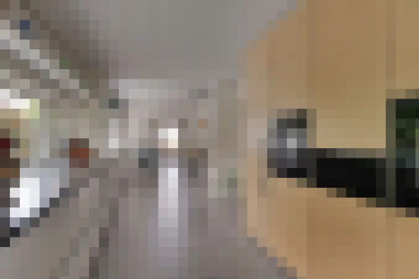Monnickendammerrijweg 50 E Ilpendam thumbnail 28