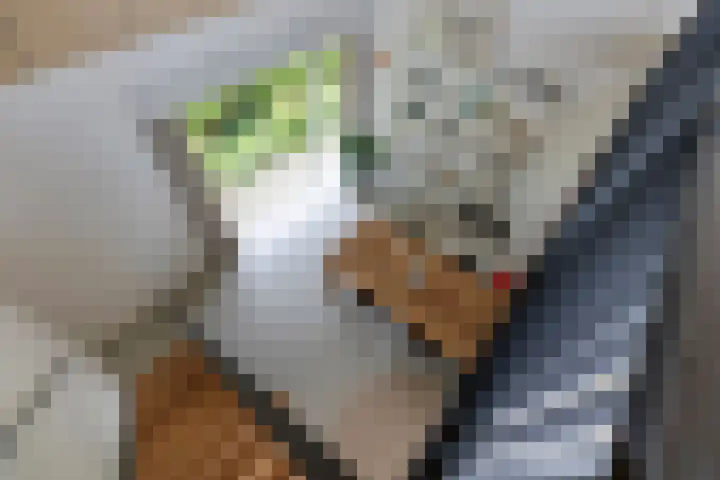 Monnickendammerrijweg 50 E Ilpendam thumbnail 34