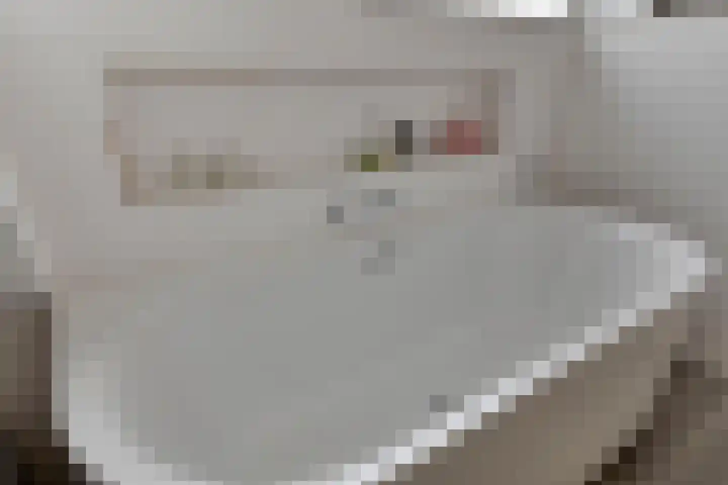 Monnickendammerrijweg 50 E Ilpendam thumbnail 42