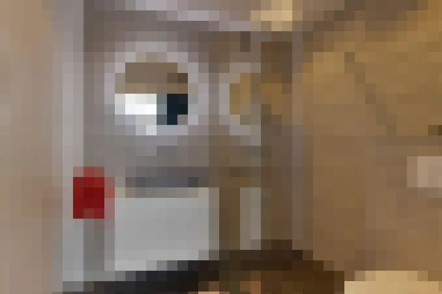 Monnickendammerrijweg 50 E Ilpendam thumbnail 54