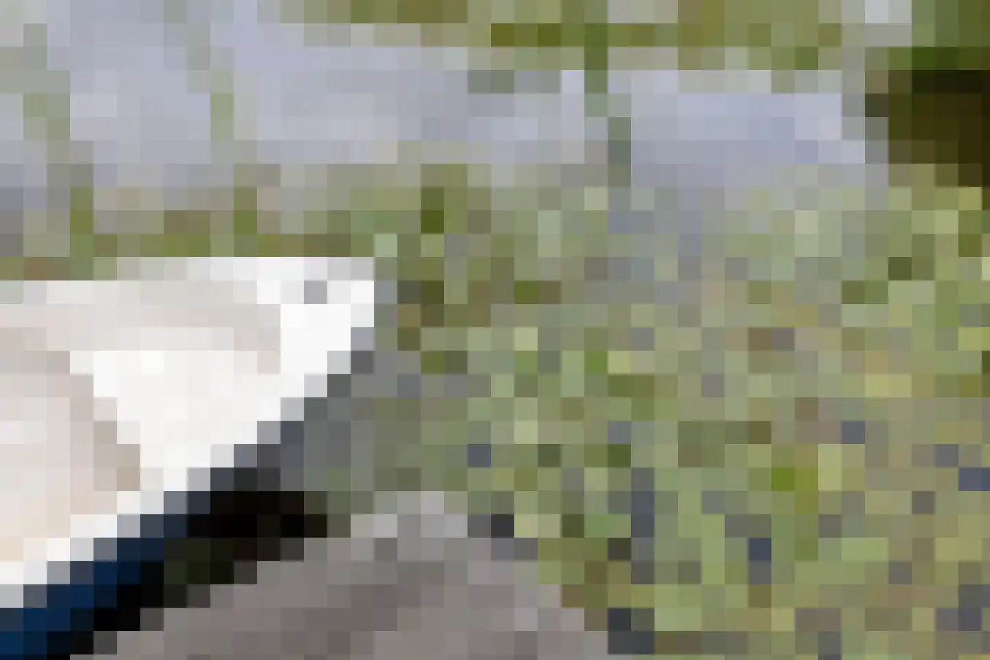 Monnickendammerrijweg 50 E Ilpendam thumbnail 56