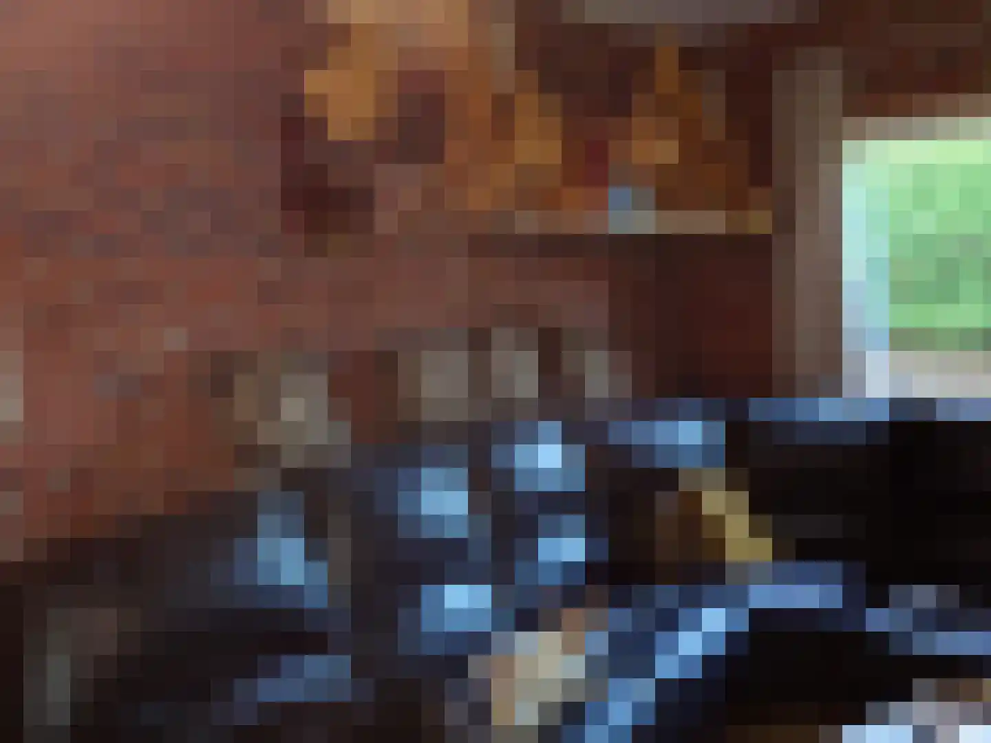 Monnickendammerrijweg 51 Ilpendam thumbnail 9