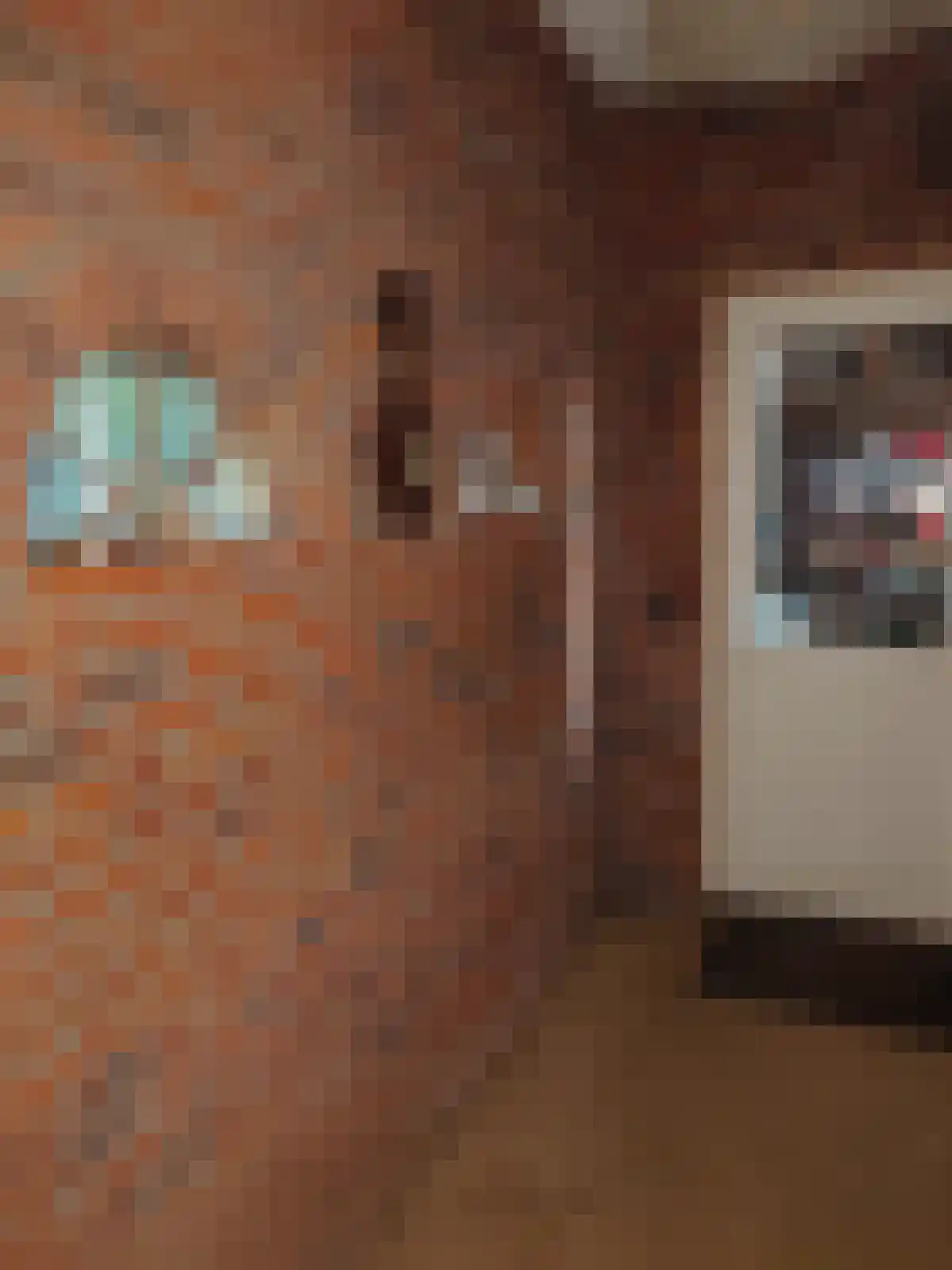 Monnickendammerrijweg 51 Ilpendam thumbnail 13