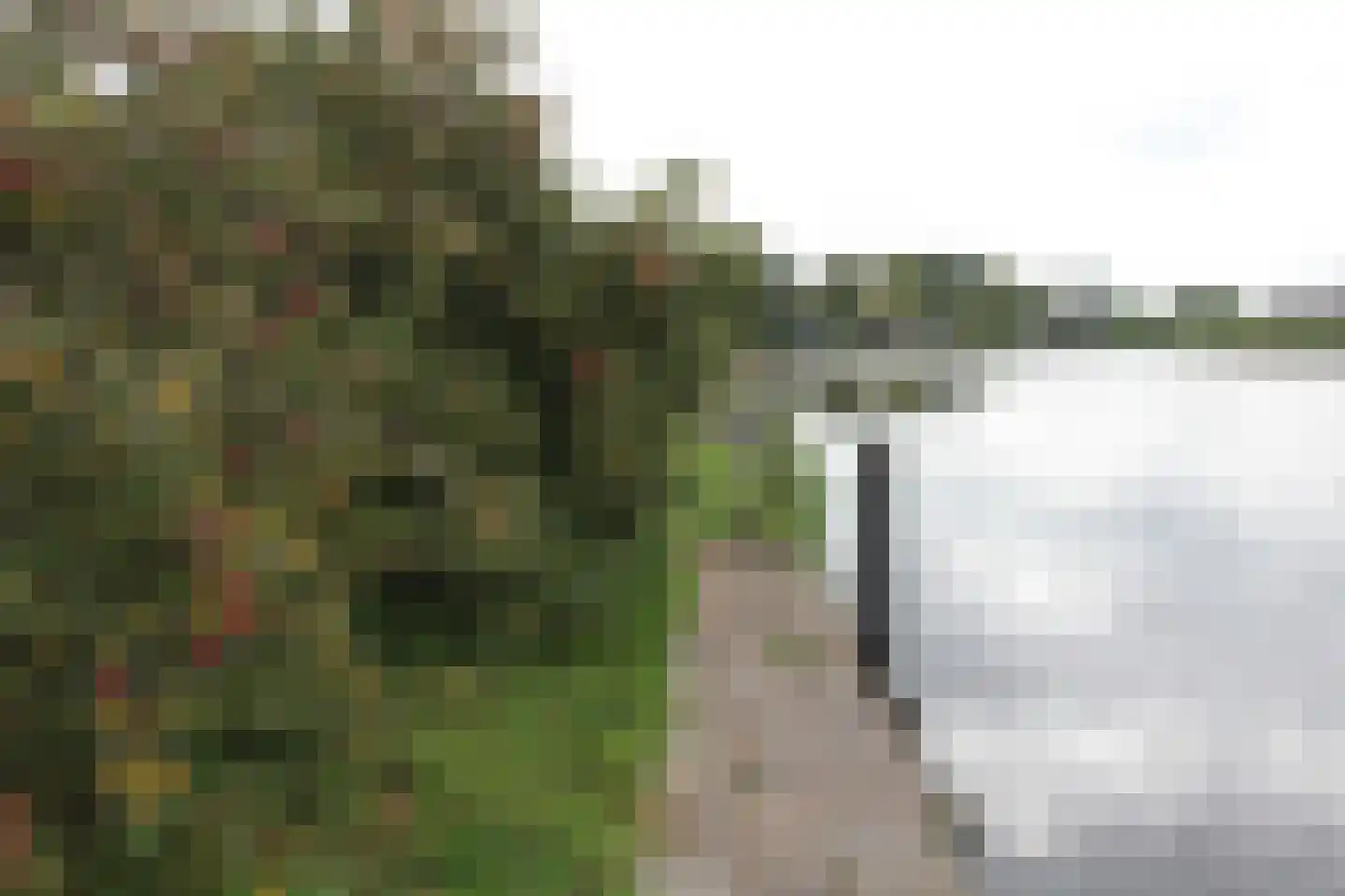 Monnickendammerrijweg 51 Ilpendam thumbnail 17