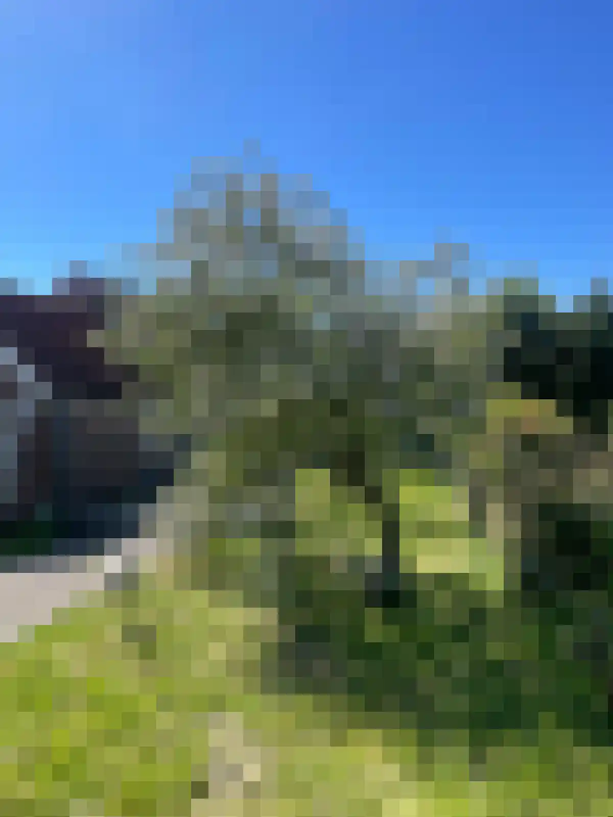 Monnickendammerrijweg 51 Ilpendam thumbnail 19