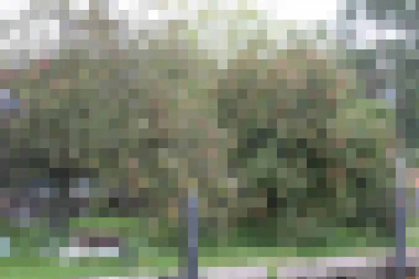 Monnickendammerrijweg 51 Ilpendam thumbnail 17